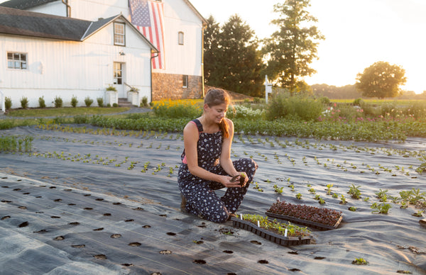 Dig In to Fall Planting