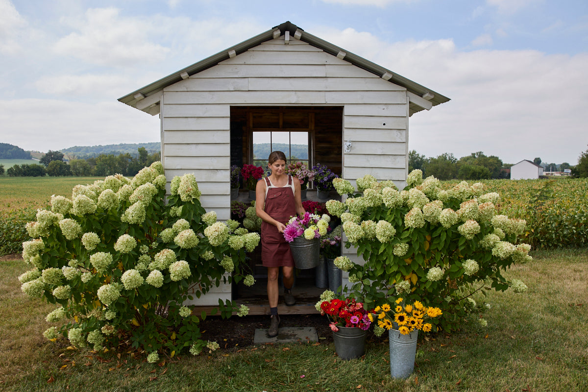 How to Start a SelfServe Flower Stand to Sell Cut Flowers Hidden