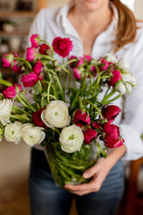 Flower Farm Starter Kit: Spring Corms
