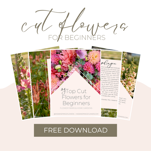 FREE Download: Cut Flowers for Beginners
