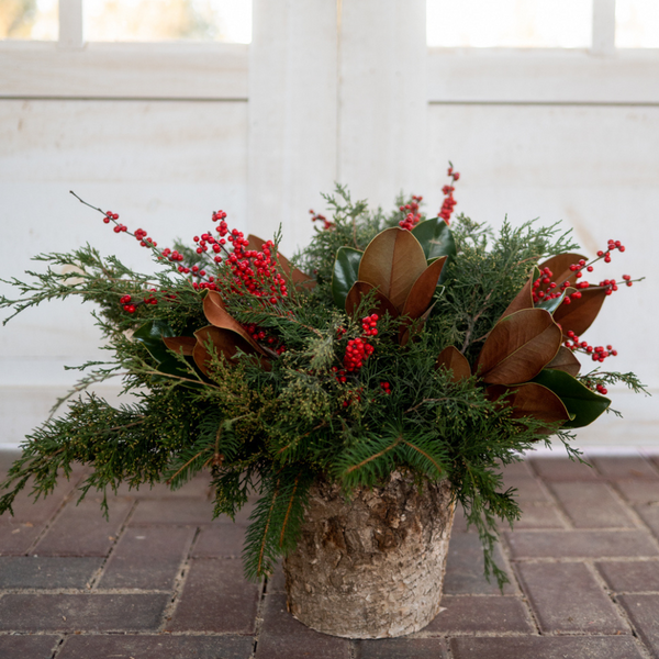Christmas evergreen floral shop arrangements