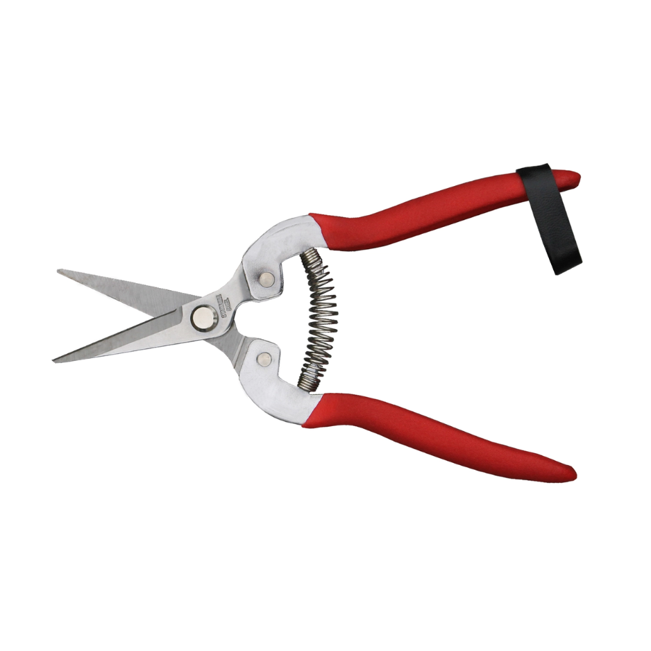 Garden Snips – Hidden Springs Flowers