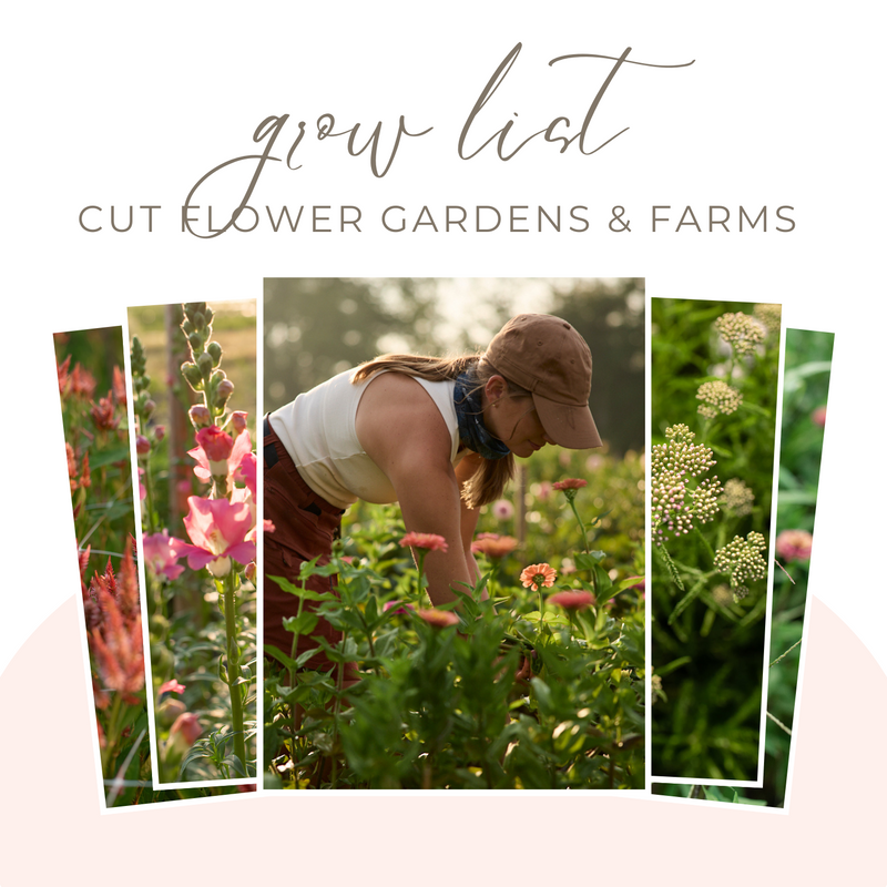 Download: Grow List for Cut Flower Gardens & Farms