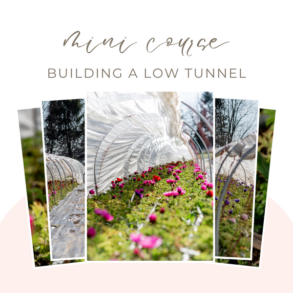 Mini Course: Building a Low Tunnel
