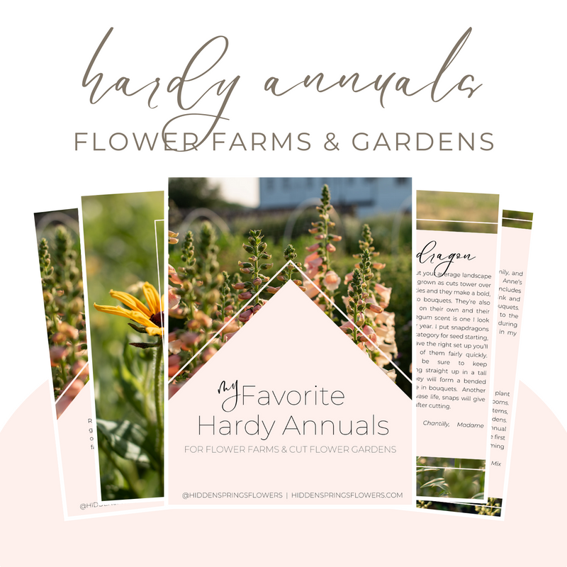 Download: Top Hardy Annuals for Flower Farmers