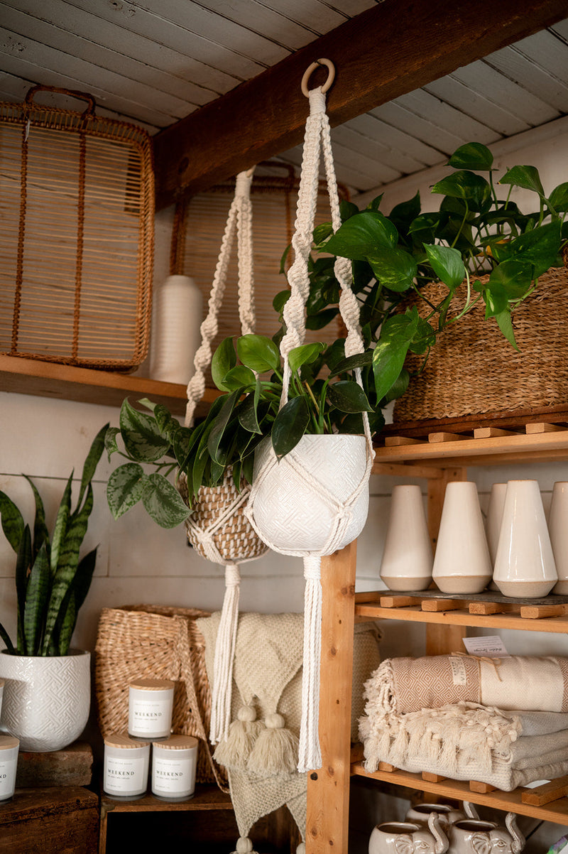 indoor macrame plant hangers Macrame Plant Hanger – Hidden Springs Flowers